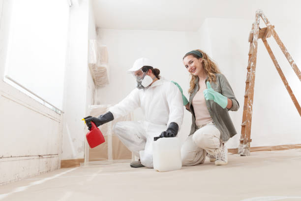 Best Emergency Mold Remediation  in San Castle, FL